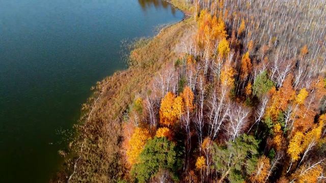 Полёт на дроне DJI Mini 2 над озером Малый Тараскуль. Тюмень. 4К