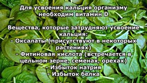 Кальций (Ca) - функции, признаки дефицита и избытка, суточная норма. Продукты, богатые кальцием
