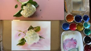 Painting Hydrangea with Watercolor. Artist Tatsiana Harbacheuskaya.