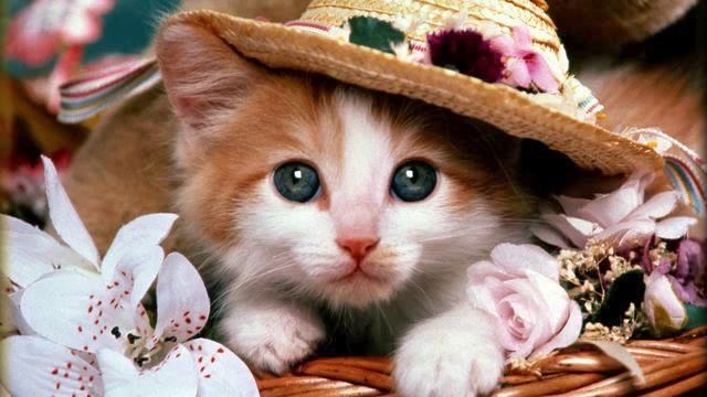 Просто красивая музыка для сна бесплатно смотреть онлайн