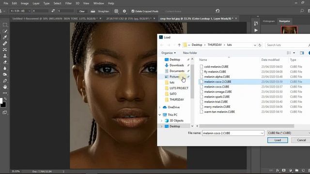 FREE  MELANIN SKIN TONE LUT GIVE AWAY