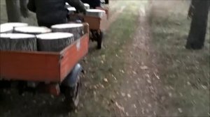 с друзьями за дровами на мотороллерах "Муравей"
