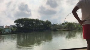 Pattaya Fishing Park. Рыбалка. 2018.