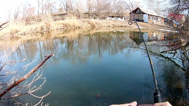 Ловля весеннего окуня спиннингом на микроджиг. Стритфишинг в Энгельсе.