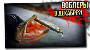 Ловля щуки на воблеры в декабре