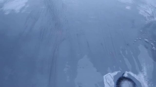 Что делать если облазит лак на авто! смотреть онлайн