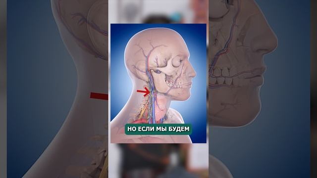 Упражнение, чтобы глаза служили долго #упражнениядляглаз  #гимнастикадляглаз #зрение