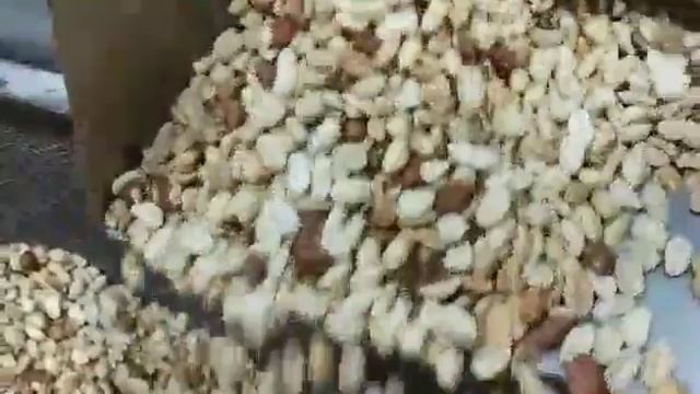 Бланшировка фундука и арахиса 400 кг в час смотреть онлайн