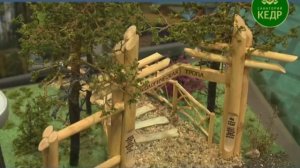 Санаторий "Кедр" г. Саянск