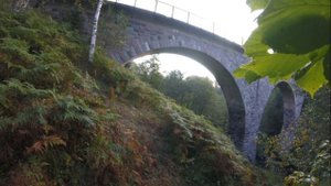 Заброшенная Жд дорога Валдай-Крестцы. (Соло-ход 5)