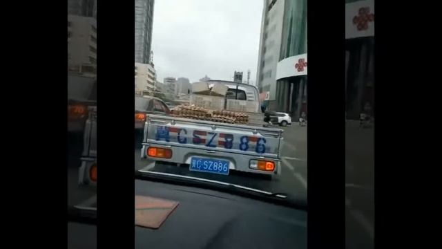 FUNNY MOMENTS смотреть онлайн