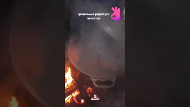 Уха на костре. правильный рецепт