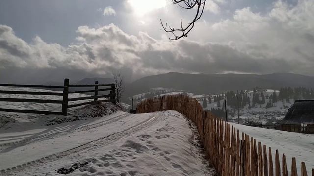 Надія Василенко-Коровянська "живая" (авторское чтение поэзии) смотреть онлайн