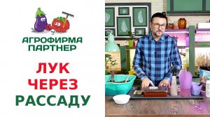 ЛУК ЧЕРЕЗ РАССАДУ