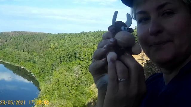 Урочище Кривоборье  Рамонский район Воронежской области