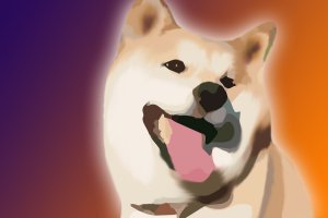 SHIBA INU #113, #NFT (ANTON VIBE ART). Original. Image collections in NFT.