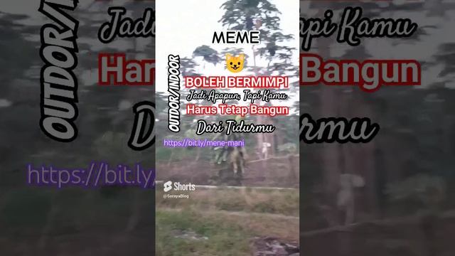 Meme Boleh Bermimpi Jadi Apapun Tapi Kamu Harus Tetap Bangun dari Tidurmu