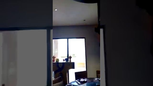 Palm Dubai Resort смотреть онлайн