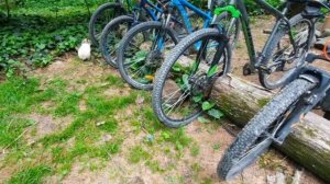 глэмпинг & SPA "Лес"/ ресторан Зайка село Чвижепсе ГО Сочи 23.05.2022.