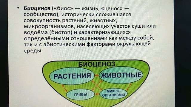 Тема 1.2. Популяции, сообщества, экосистемы