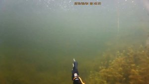 Подводная охота оз. Зункарь. Spearfishing. The lake is Zunkar.