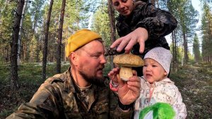 ВЗЯЛ ДЕВЧОНОК В ЛЕС И НАЧАЛОСЬ. СБОР БЕЛЫХ ГРИБОВ. ПОИСКИ БОРОВИКОВ В КРАСИВОМ ЛЕСУ. СЕМЕЙНЫЙ СБОР