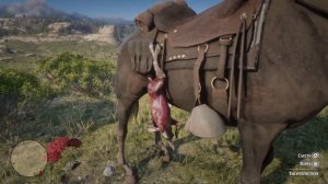 Охота на Зайца и Приготовление Его Мяса в Лагере в Red Dead Redemption 2