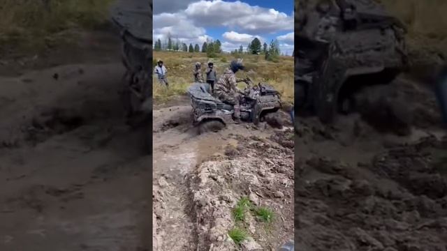 Любимый горный Алтай смотреть онлайн