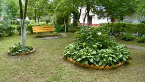 В Реутове выбирают самые красивые дворы и подъезды 11.08.22