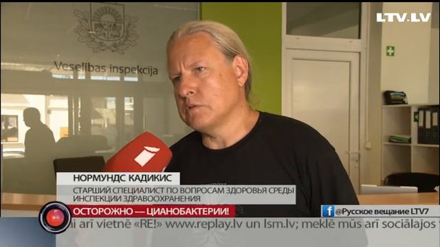 Осторожно — цианобактерии!