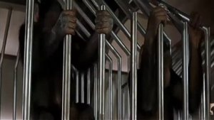 фільм анаконда 4 2009року експеримент над змією