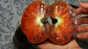 Томат Румба (Rumba). Тест зрелых плодов.