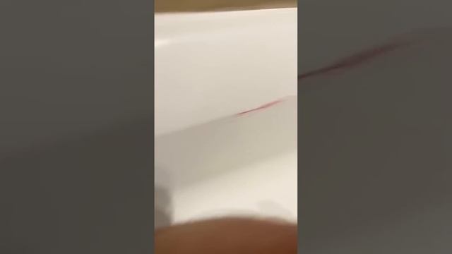 Покраска хвоста собаке в розовый цвет смотреть онлайн