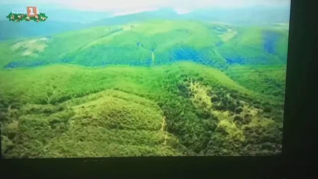 ЧЕСТИТА НОВА 2021 ГОДИНА РЕПУБЛИКА БЪЛГАРИЯ ( HAPPY NEW 2021 YEAR REPUBLIC OF BULGARIA ) смотреть онлайн