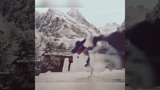 Три жизнитри мира:Личный дневник Three LivesThree Worlds The Pillow Book - Падает звездаANIVAR