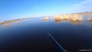 Рыбалка на поплавок.  Ловля карася на червячка в Сибири. Открытие сезона. Карась ПРЁТ на ПОПЛАВОК.