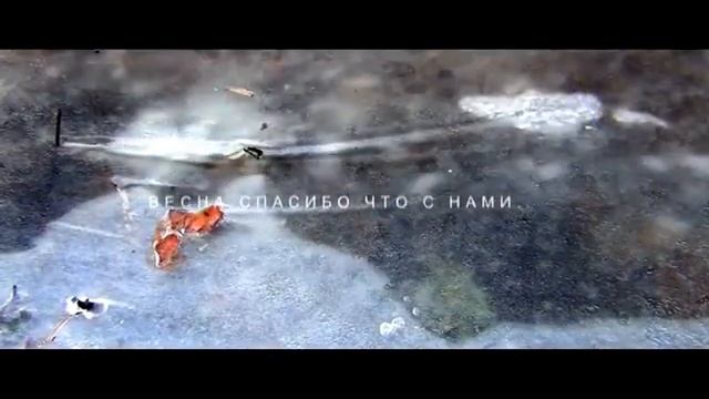 ВИДЕОПОЭЗИЯ.автор стихов-АЛЕКСАНДРА АРДОВА. режиссёр-СЕРГЕЙ ФЕДОНИН