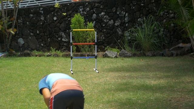 Ladder Toss Outdoor Game смотреть онлайн