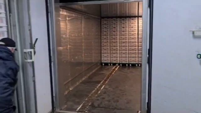 Видео с запуска камеры дефростации мяса и птицы на МК в Барнауле. тестовый запуск партии курицы. смотреть онлайн