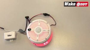 Как подключить подсветку акустики Wet Sounds