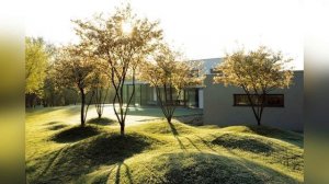 Геопластика в ландшафтном дизайне