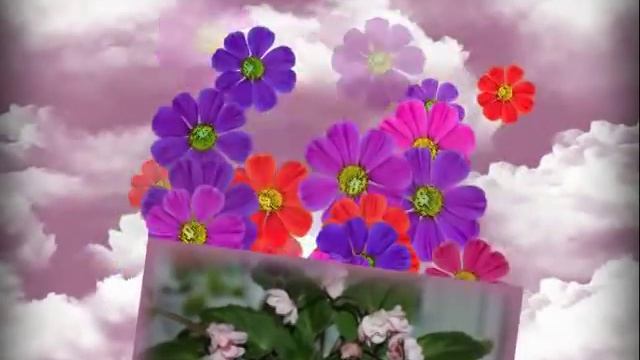 Фиалки почтой, 500 сортов, наш сайт http://fialkiotnatalki.ru/ смотреть онлайн