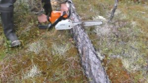 Как эвенки носят дрова ( полезные советы)