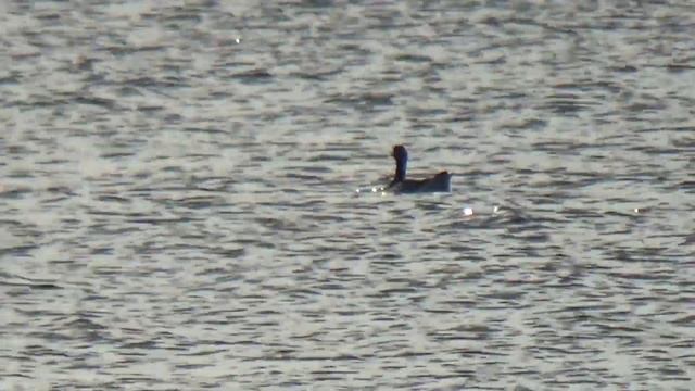 Зимний коп на пляже смотреть онлайн