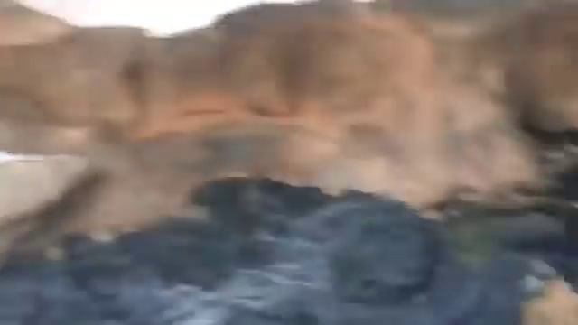 Софьи Перовской.