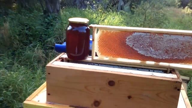 ГРЕЧИШНЫЙ МЁД - СТРЁМНЫЙ МЁД Хутор LV смотреть онлайн