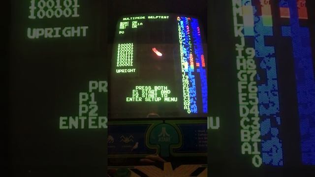 Centipede Arcade Game Bad Pokey Chip or Chips