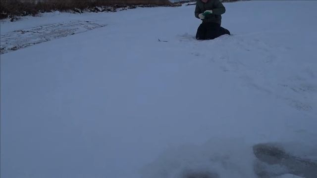 Учу как БЛЕСНИТЬ ОКУНЯ юного рыбака. Зимняя рыбалка на малой реке. ОКУНЬ на БЛЕСНУ. #ДимаSh смотреть онлайн