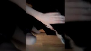 Как сделать попону для кошки