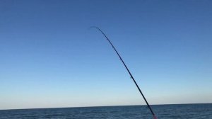 НАЖИВИЛ ЕГО И ПОНЕСЛАСЬ… Добыл червя Нереиса и наловил Рыбы! Драйвовая рыбалка на Азовском море